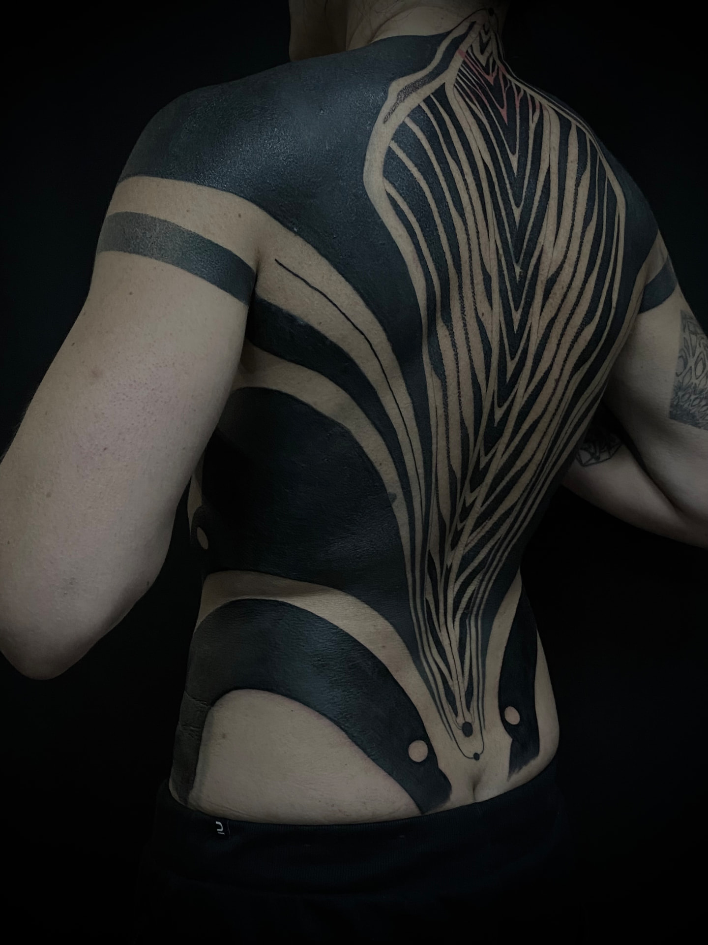 Large-scale blackwork back piece with flowing linework and bold saturated shapes