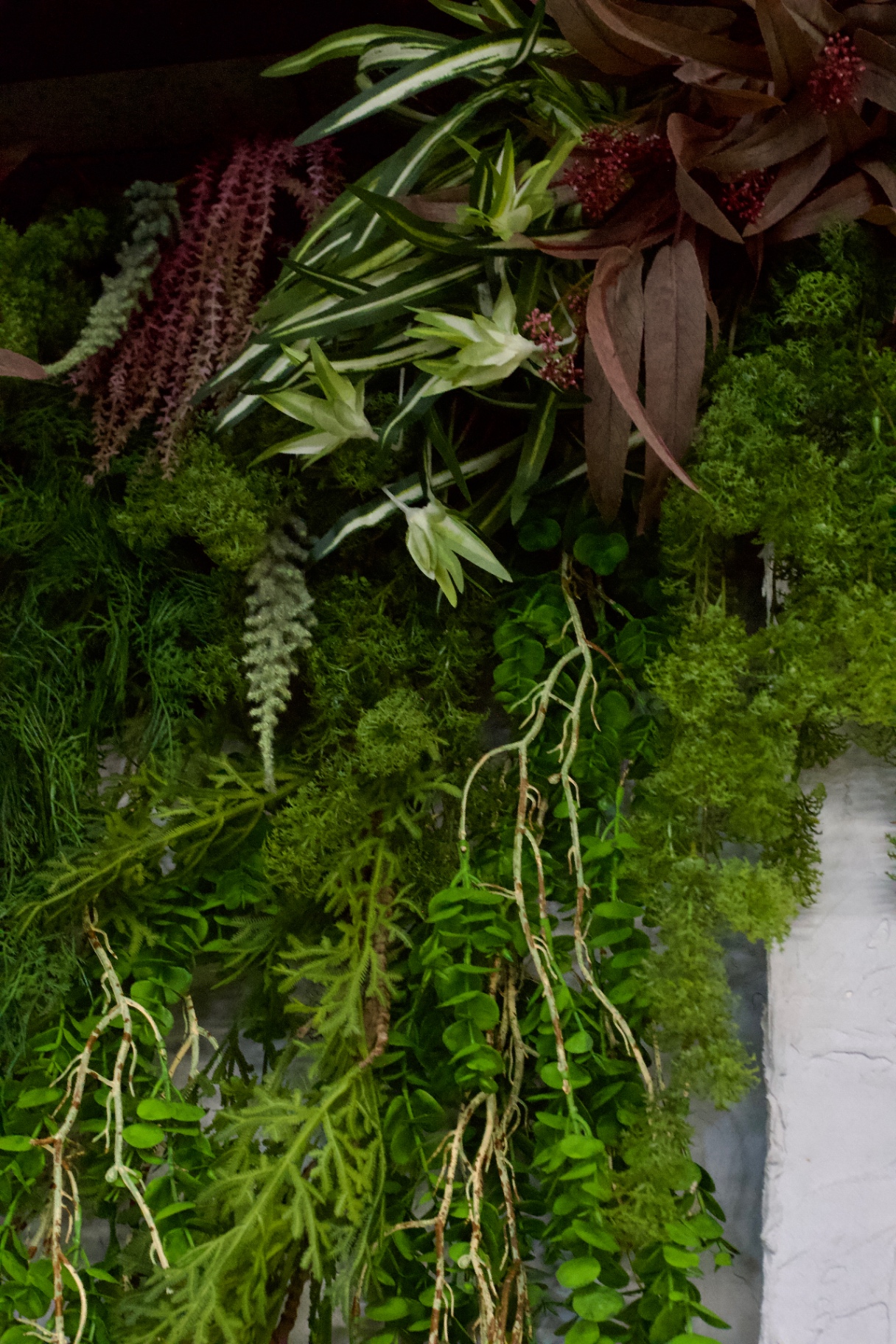 Hanging greenery against the white panelled wall of the arch